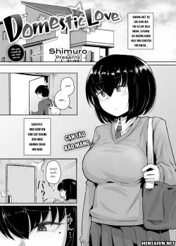Domestic Love - Bìa truyện