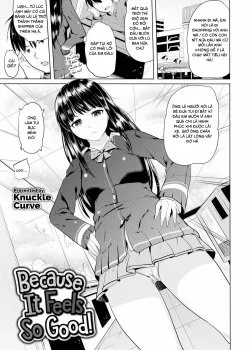 Because It Feels So Good - Bìa truyện