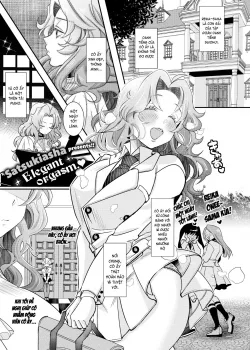 Bí Mật Cực Khoái Của Quý Bà - Bìa truyện