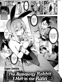 Cô Thỏ Tôi Gặp Trong Cơn Mưa - Bìa truyện