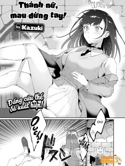 Đừng Làm Thế, Đại Anh Hùng! - Bìa truyện