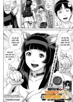 Lời Cảm Ơn Từ Mèo Con - Bìa truyện