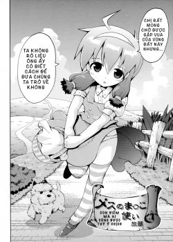 Mesu No Manko Tsukai Houdai - Bìa truyện