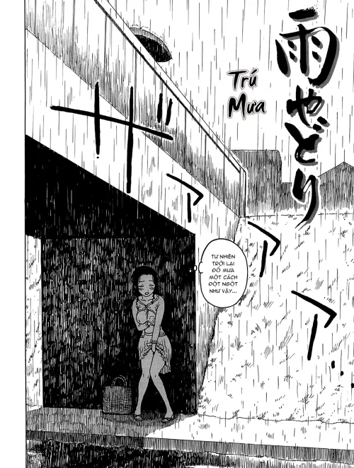 Bìa truyện Nơi Trú Mưa Cảm Lạnh