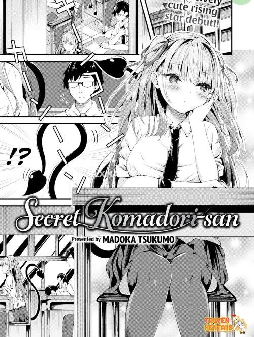 Secret Komadori-san - Bìa truyện