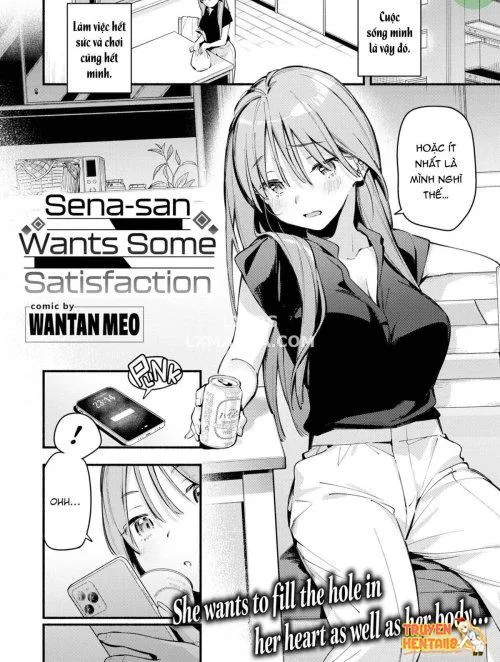 Sena-san Wants Some Satisfaction - Bìa truyện