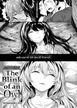 Bìa truyện The Blink Of An Owl