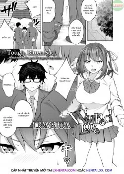 Tình Yêu Méo Mó - Bìa truyện