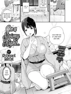 Vào Một Đêm Mưa Bão - Bìa truyện