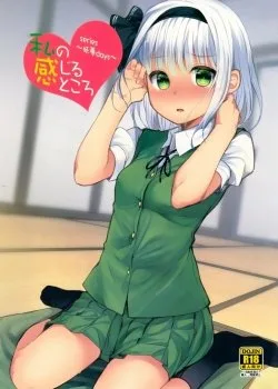 Bìa truyện Youmu Days ~Watashi No Kanjiru Tokoro