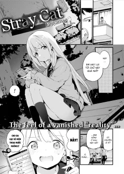 Con Mèo Biến Thái Stray Cat - Bìa truyện