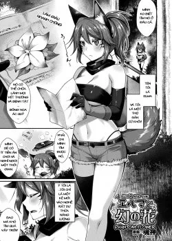 Elma And The Phantom Flower - Bìa truyện