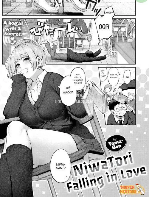 NiwaTori Falling In Love - Bìa truyện