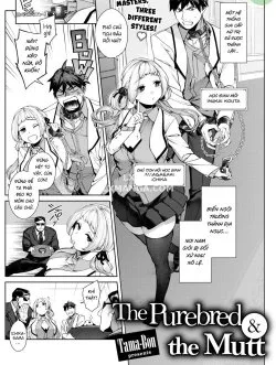 The Purebred And The Mutt - Bìa truyện