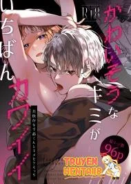 Trông Em Thảm Hại Như Này Lại Đáng Yêu Vl - Bìa truyện